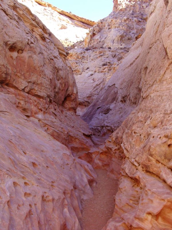 04160302LittleWildHorse (1090)